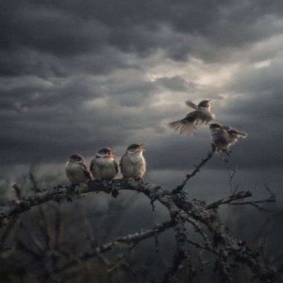 PREOBRAZBA  -  JE LI ČOVJEČANSTVO  NA PUTU NANOVOROĐENJA ILI ...   