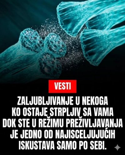 Biraj partnera pažljivo. 🙌🏻