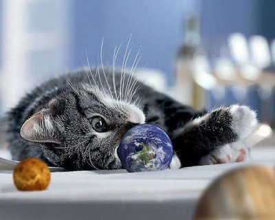 Mačka nije samo ljubimac, ona je vaša astrološka srodna duša!