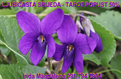 Konzultacije srijedom uz popust, cijelu 2026 g. 💜💜💜