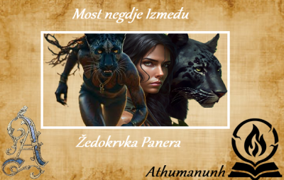 Noć koja Pamti - Most negdje Između