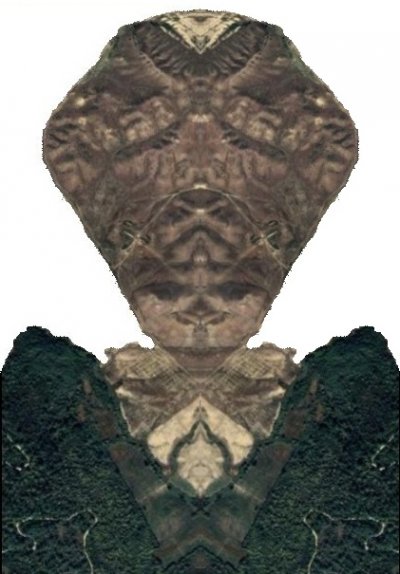 Tamnoputa Kraljica