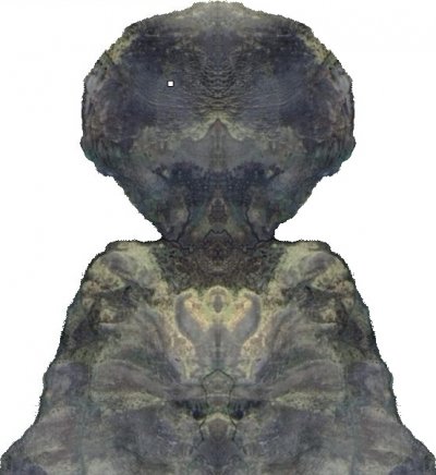 Tamnoputa princeza