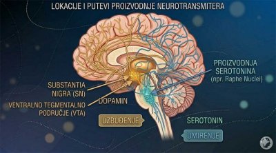 Biologija ovisnosti i prevare mozga
