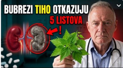  Bubrezi tiho otkazuju: 5 znakova koje ljudi posle 60. najčešće previde i 5 listova koji pomažu