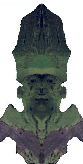 Papa Pio V