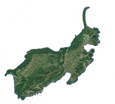 Jednorog