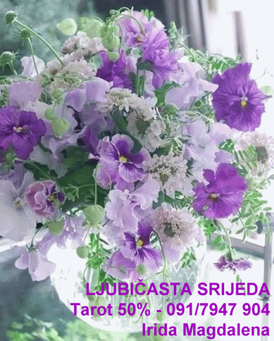 Konzultacije srijedom uz popust, cijelu 2026 g. 💜💜💜