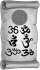 SANNYASA