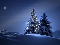 Priča o božićnom drvcu
