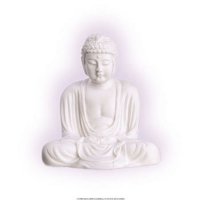 Budistička molitva za mir