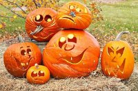 Bundeve za jelo i dekoraciju