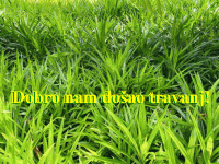 Dobro nam došao travanj (pučke izreke o vremenu)