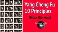 YANG SHENGFU - 10 PRINCIPA TAIJIQUANA