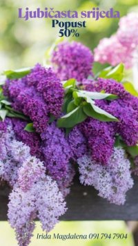 Konzultacije srijedom uz popust, cijelu 2026 g. 💜💜💜