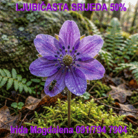 Konzultacije srijedom uz popust, cijelu 2026 g. 💜💜💜