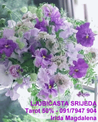 Konzultacije srijedom uz popust, cijelu 2026 g. 💜💜💜